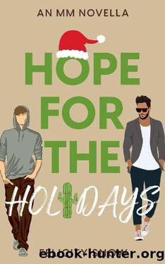 Hope For The Holidays: An MM Holiday Novella by Felicity Snow