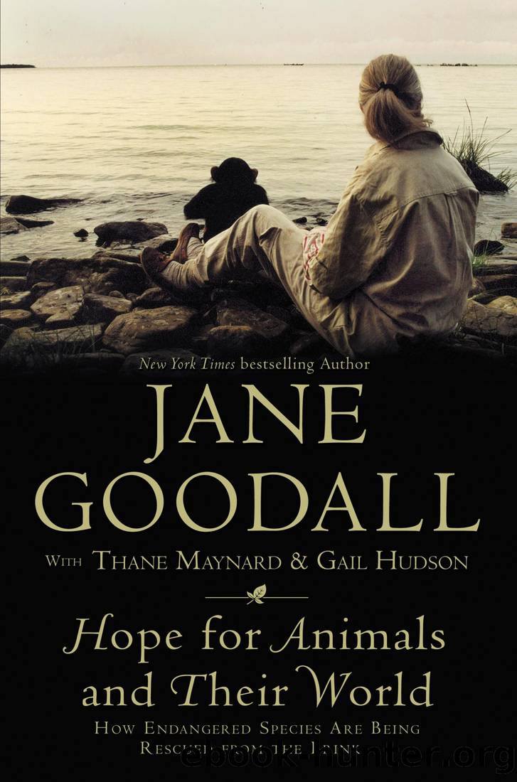 Hope for Animals and Their World by Jane Goodall; Thane Maynard; Gail Hudson