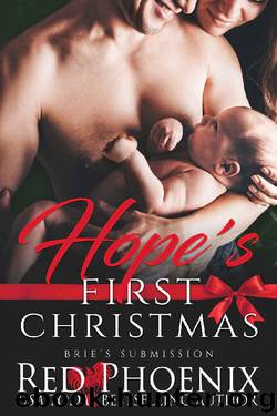 Hope's First Christmas (Brie's Submission Book 19) by Red Phoenix