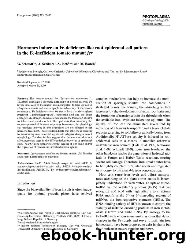 Hormones induce an Fe-deficiency-like root epidermal cell pattern in the Fe-inefficient tomato mutant <Emphasis Type="Italic">fer <Emphasis> by Unknown