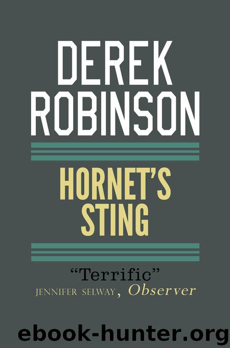 Hornet’s Sting by Derek Robinson