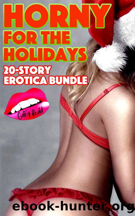 Horny For The Holidays: 20-Story Erotica Bundle by Redd Catey