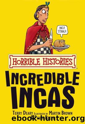 Horrible Histories: The Incredible Incas by Deary Terry