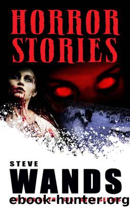 Horror Stories: A Macabre Collection by Steve Wands