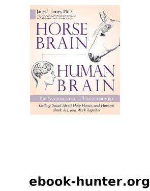 Horse Brain Human Brain by Unknown