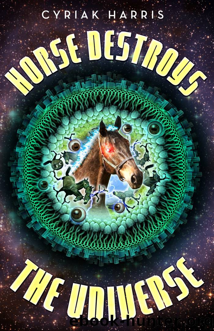 Horse Destroys the Universe by Cyriak Harris
