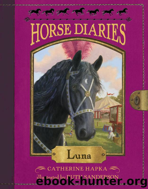 Horse Diaries #12 by Catherine Hapka