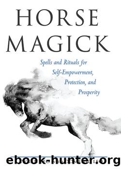 Horse Magick by Lawren Leo