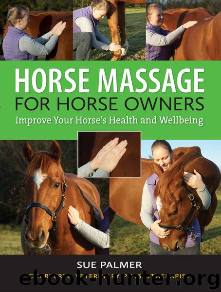 Horse Massage for Horse Owners by Sue Palmer
