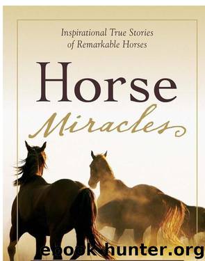 Horse Miracles by Brad Steiger & Sherry Hansen Steiger
