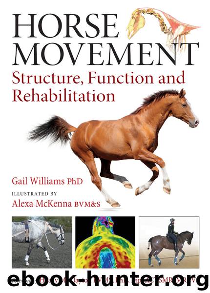 Horse Movement by Gail Williams
