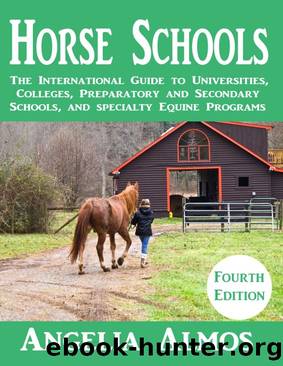 Horse Schools by Angelia Almos