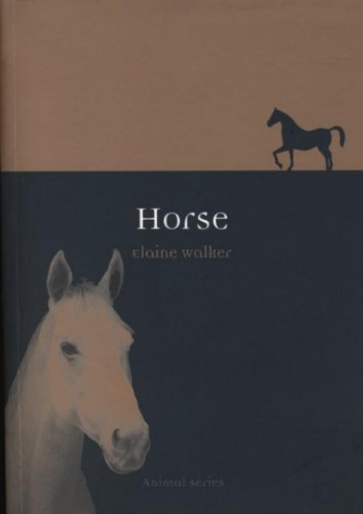 Horse by Elaine Walker