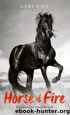 Horse of Fire by Lari Don