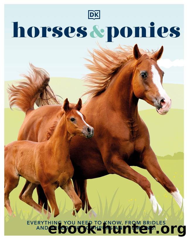 Horses & Ponies: Everything You Need to Know, From Bridles and Breeds to Jodhpurs and Jumping! by Dorling Kindersley