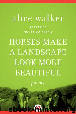 Horses Make a Landscape Look More Beautiful by Alice Walker