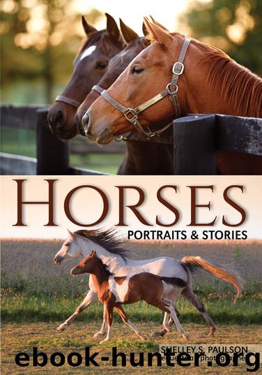 Horses by Shelley Paulson
