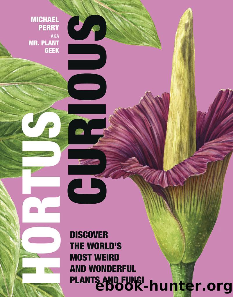 Hortus Curious: Discover the World's Most Weird and Wonderful Plants and Fungi by Michael Perry