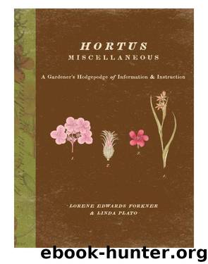 Hortus Miscellaneous by Lorene Forkner