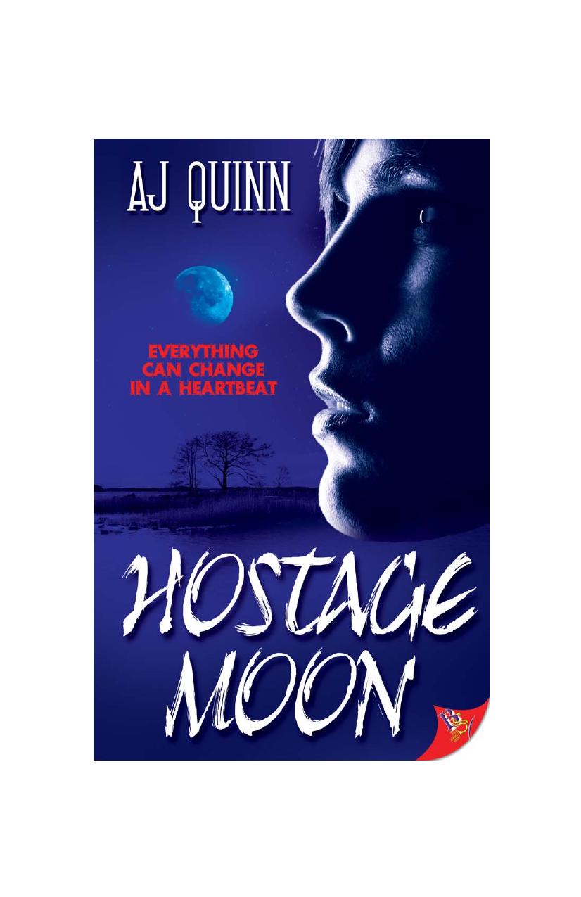 Hostage Moon by A.J. Quinn
