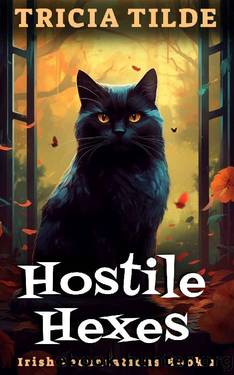 Hostile Hexes: Irish Incantations Book 2 by Tricia Tilde