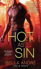 Hot As Sin by Bella Andre