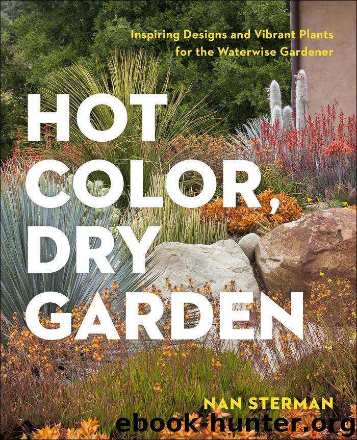 Hot Color, Dry Garden by Nan Sterman