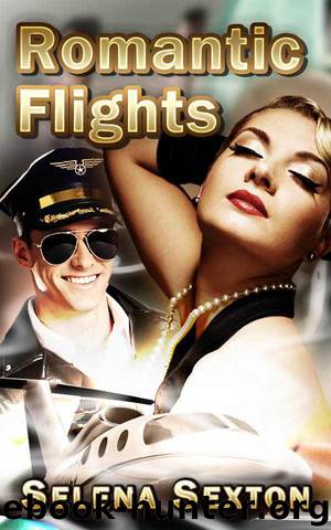 Hot Erotica: Romantic Flights( Mile High Club) by Selena Sexton