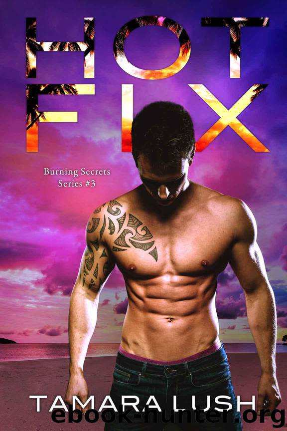 Hot Fix (Burning Secrets Book 3) by Lush Tamara