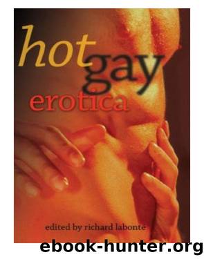 Hot Gay Erotica by Richard Labonte