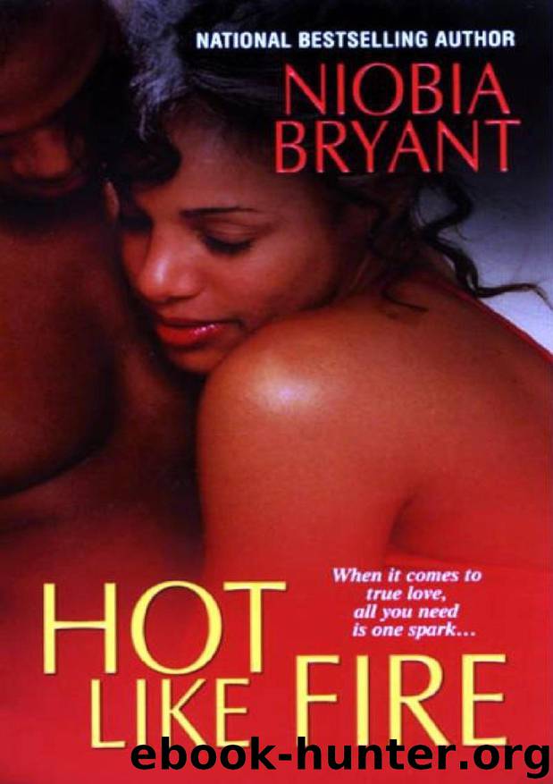 Hot Like Fire (Dafina Contemporary Romance) by Niobia Bryant