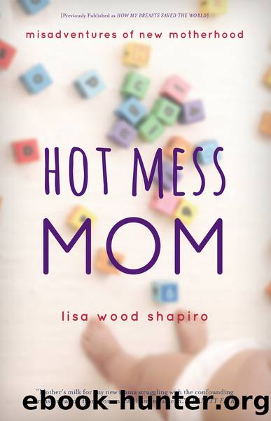 Hot Mess Mom by Lisa Wood Shapiro