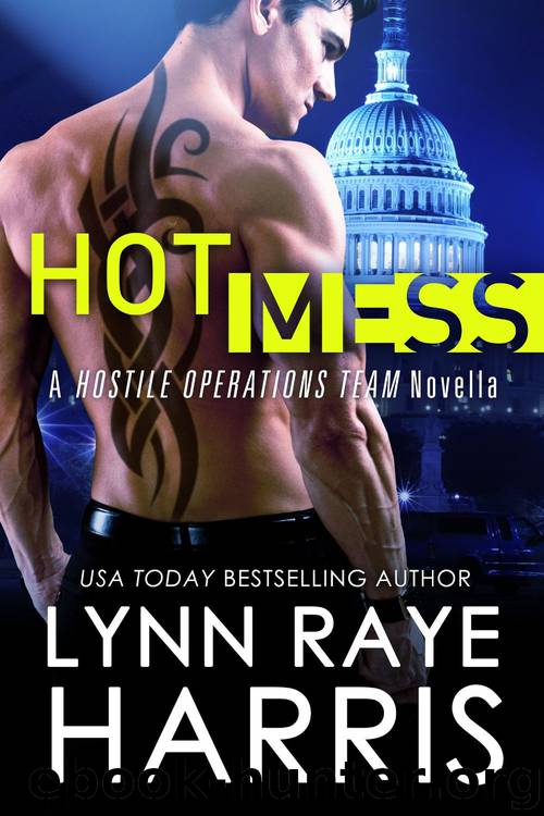 Hot Mess by Lynn Raye Harris