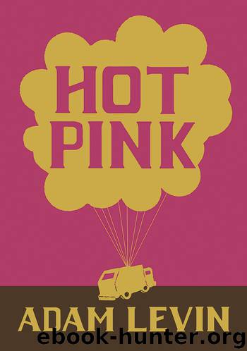 Hot Pink by Adam Levin