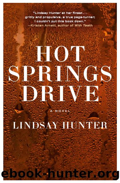 Hot Springs Drive by Lindsay Hunter