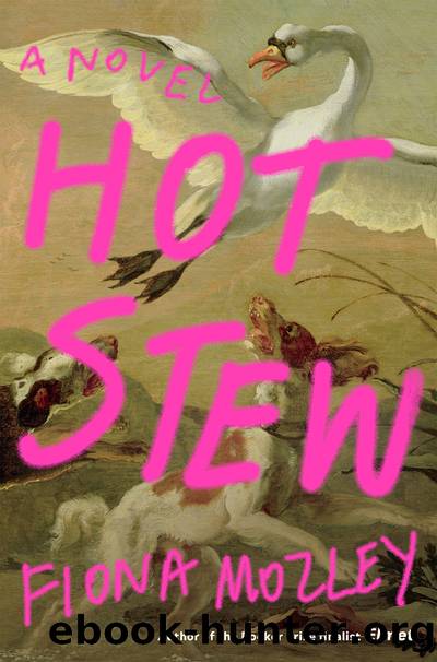 Hot Stew by Fiona Mozley
