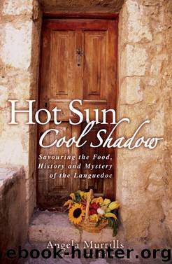 Hot Sun, Cool Shadow by Angela Murrills