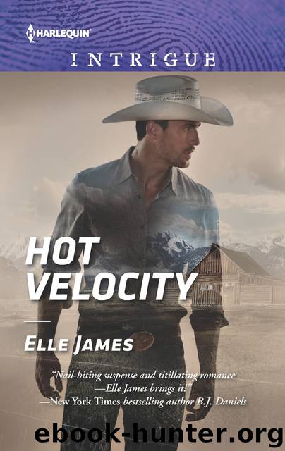 Hot Velocity by Elle James