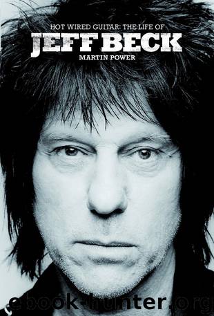 Hot Wired Guitar: The Life of Jeff Beck by Martin Power