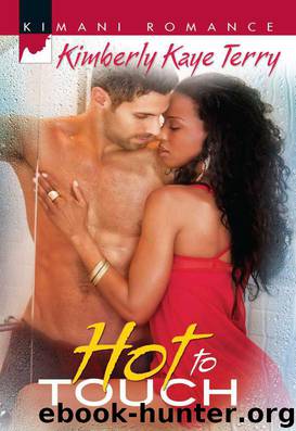 Hot to Touch by Kimberly Kaye Terry