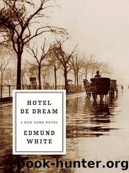 Hotel de Dream by Edmund White