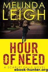 Hour of Need by Leigh Melinda