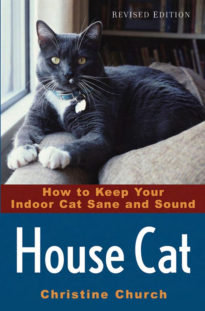 House Cat by Christine Church