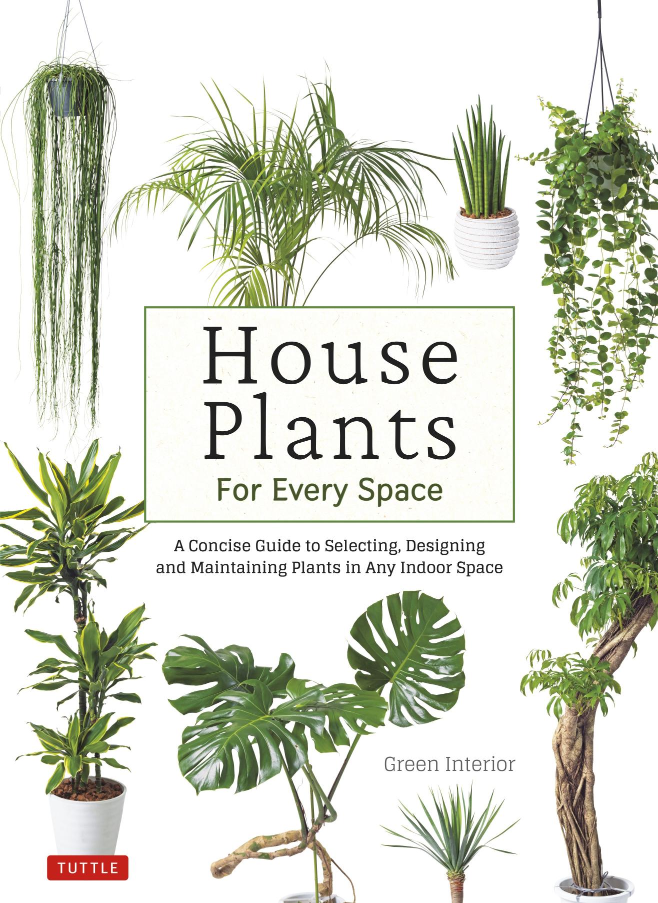 House Plants for Every Space by Green Interior