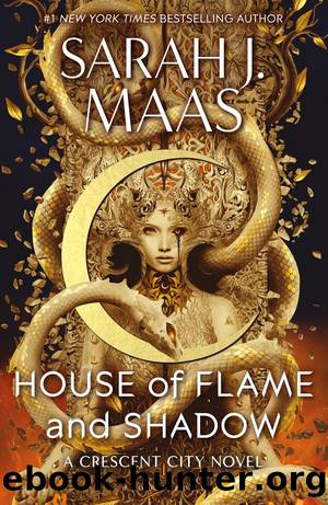 House of Flame and Shadow: The INTERNATIONAL BESTSELLER and the SMOULDERING Third Instalment in the Crescent City Series by Sarah J. Maas
