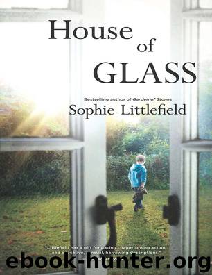 House of Glass by Sophie Littlefield