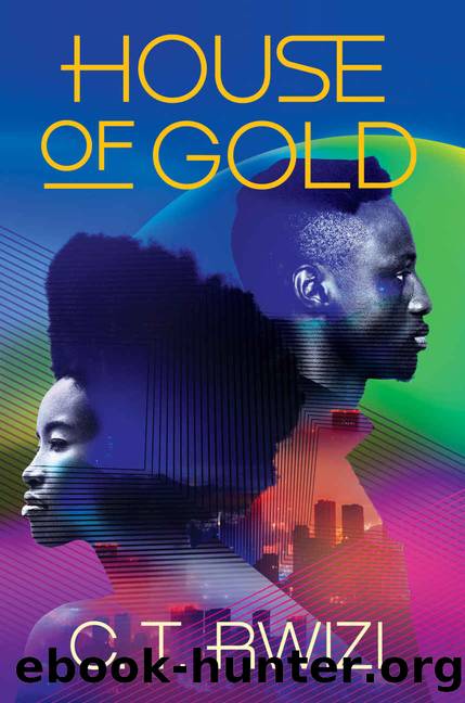 House of Gold by C T Rwizi