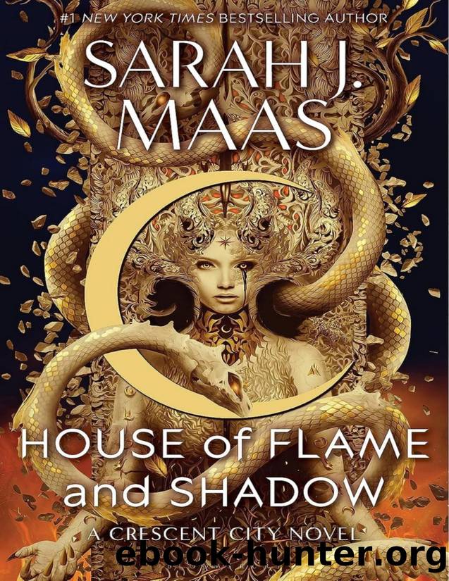 House of Shadow and Flames Bonus Chapters by Sarah J. Maas