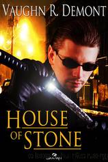 House of Stone by Vaughn R. Demont