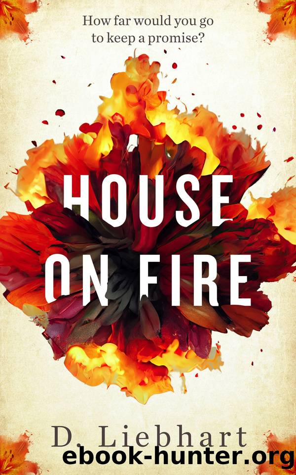 House on Fire by Liebhart D